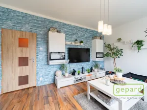 Prodej bytu 2+1, Ostrov, S. K. Neumanna, 54 m2