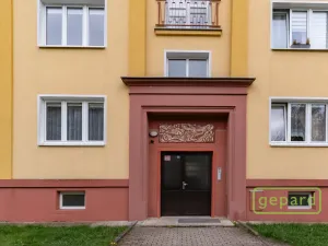 Prodej bytu 2+1, Ostrov, S. K. Neumanna, 54 m2