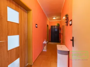 Prodej bytu 2+1, Ostrov, S. K. Neumanna, 54 m2