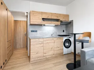 Pronájem bytu 1+kk, Chomutov, Seifertova, 23 m2