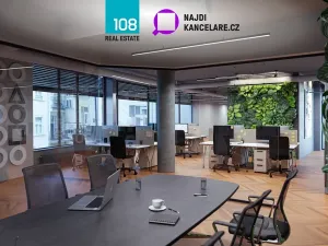 Pronájem kanceláře, Praha - Nové Město, Václavské náměstí, 326 m2