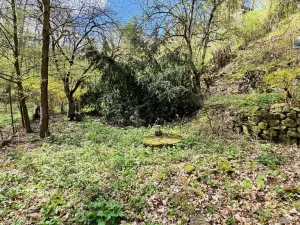 Prodej chaty, Brno - Bystrc, 24 m2