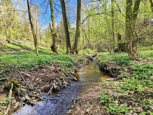 Prodej chaty, Brno - Bystrc, 24 m2