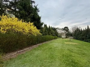 Prodej vily, Dolní Kounice, Zámecká, 270 m2