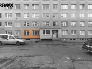 Prodej bytu 3+1, Litvínov - Hamr, Přátelství, 62 m2