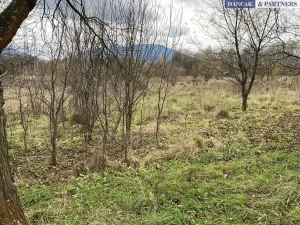 Prodej pozemku pro bydlení, Frýdlant nad Ostravicí, Havlíčkova, 6279 m2