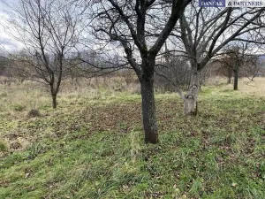 Prodej pozemku pro bydlení, Frýdlant nad Ostravicí, Havlíčkova, 6279 m2