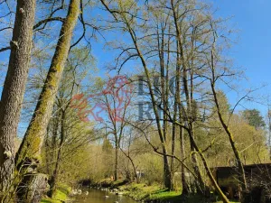 Prodej chaty, Ždírec - Žďár, 50 m2