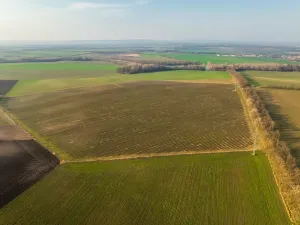 Prodej sadu/vinice, Troskotovice, 243931 m2