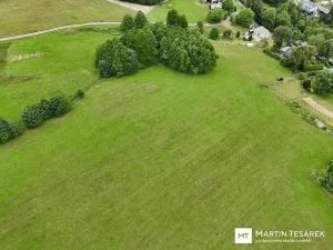 Prodej pozemku pro bydlení, Pulečný, 4466 m2