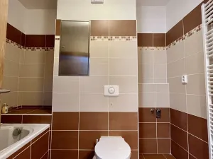 Pronájem bytu 2+kk, Ostrava - Slezská Ostrava, Michálkovická, 45 m2