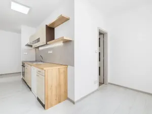 Prodej bytu 3+1, Veselí nad Lužnicí, Pod Markem, 62 m2