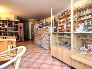 Prodej rodinného domu, Brno - Komín, Hlavní, 558 m2