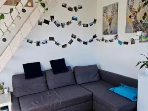 Pronájem bytu 2+kk, Brno - Černovice, Řehořova, 26 m2