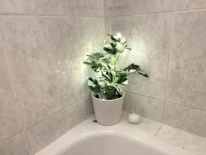 Pronájem bytu 3+1, Brno - Staré Brno, Poříčí, 81 m2