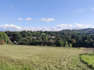 Prodej pozemku pro bydlení, Postupice, 4099 m2