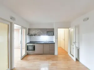 Pronájem bytu 3+kk, Praha - Karlín, Molákova, 42 m2