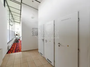 Pronájem bytu 3+kk, Praha - Karlín, Molákova, 42 m2