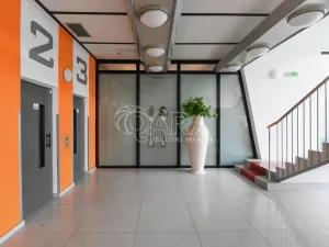 Pronájem bytu 3+kk, Praha - Karlín, Molákova, 42 m2