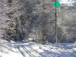 Prodej ubytování, Čaková, 775 m2