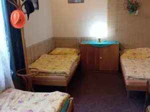 Prodej ubytování, Čaková, lfdlkdsa, 775 m2