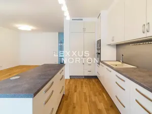 Pronájem rodinného domu, Praha - Dejvice, V Šáreckém údolí, 190 m2