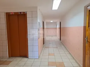 Pronájem bytu 1+kk, Praha - Braník, Nad lesním divadlem, 24 m2