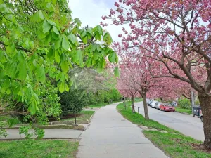 Pronájem bytu 1+kk, Praha - Braník, Nad lesním divadlem, 24 m2