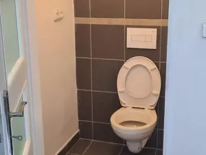 Pronájem výrobních prostor, Liběchov, 55 m2