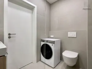 Pronájem bytu 1+1, Brno, Vídeňská, 39 m2