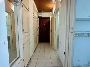 Prodej bytu 2+1, Praha - Vinohrady, Nad Primaskou, 60 m2