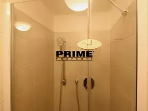 Pronájem bytu 5+1, Praha - Smíchov, Štefánikova, 168 m2