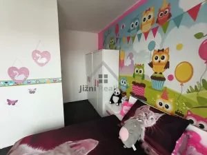 Prodej rodinného domu, České Velenice, Komenského, 450 m2