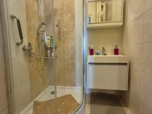 Prodej bytu 3+1, Brno, Ibsenova, 74 m2