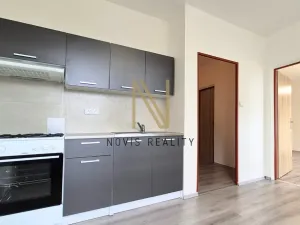 Pronájem bytu 1+1, Domažlice, Kozinova, 38 m2