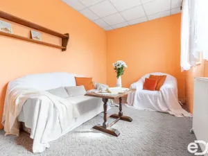 Prodej vícegeneračního domu, Mladá Boleslav, Šafaříkova, 380 m2