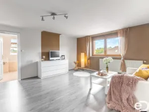 Prodej vícegeneračního domu, Mladá Boleslav, Šafaříkova, 380 m2