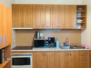 Pronájem bytu 1+1, Ostrava, Písečná, 34 m2