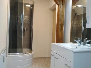 Prodej činžovního domu, Ostrava, Vrchlického, 132 m2