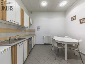 Pronájem rodinného domu, Mladá Boleslav - Čejetice, Koněvova, 296 m2