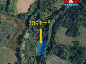 Prodej pozemku, Hrabětice, 7091 m2