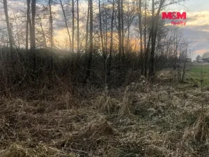 Prodej louky, Horní Suchá, 1524 m2
