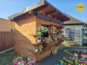 Pronájem komerční nemovitosti, Karviná, tř. Těreškovové, 15 m2