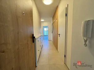 Pronájem bytu 3+kk, Plzeň - Černice, V Bezinkách, 99 m2