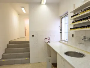 Pronájem obchodního prostoru, Brno, Tyršova, 120 m2