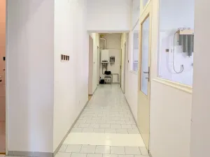 Pronájem obchodního prostoru, Brno, Tyršova, 120 m2