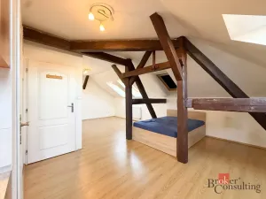 Pronájem bytu 1+kk, Plzeň - Jižní Předměstí, Husova, 42 m2