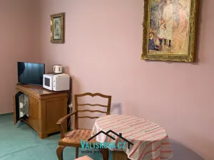 Pronájem bytu 1+kk, Kroměříž, Riegrovo náměstí, 29 m2