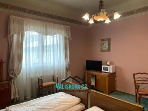 Pronájem bytu 1+kk, Kroměříž, Riegrovo náměstí, 29 m2