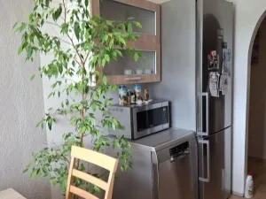 Pronájem bytu 3+1, Mladeč, 81 m2